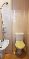 The Rivervale (D19), Condominium #207710851